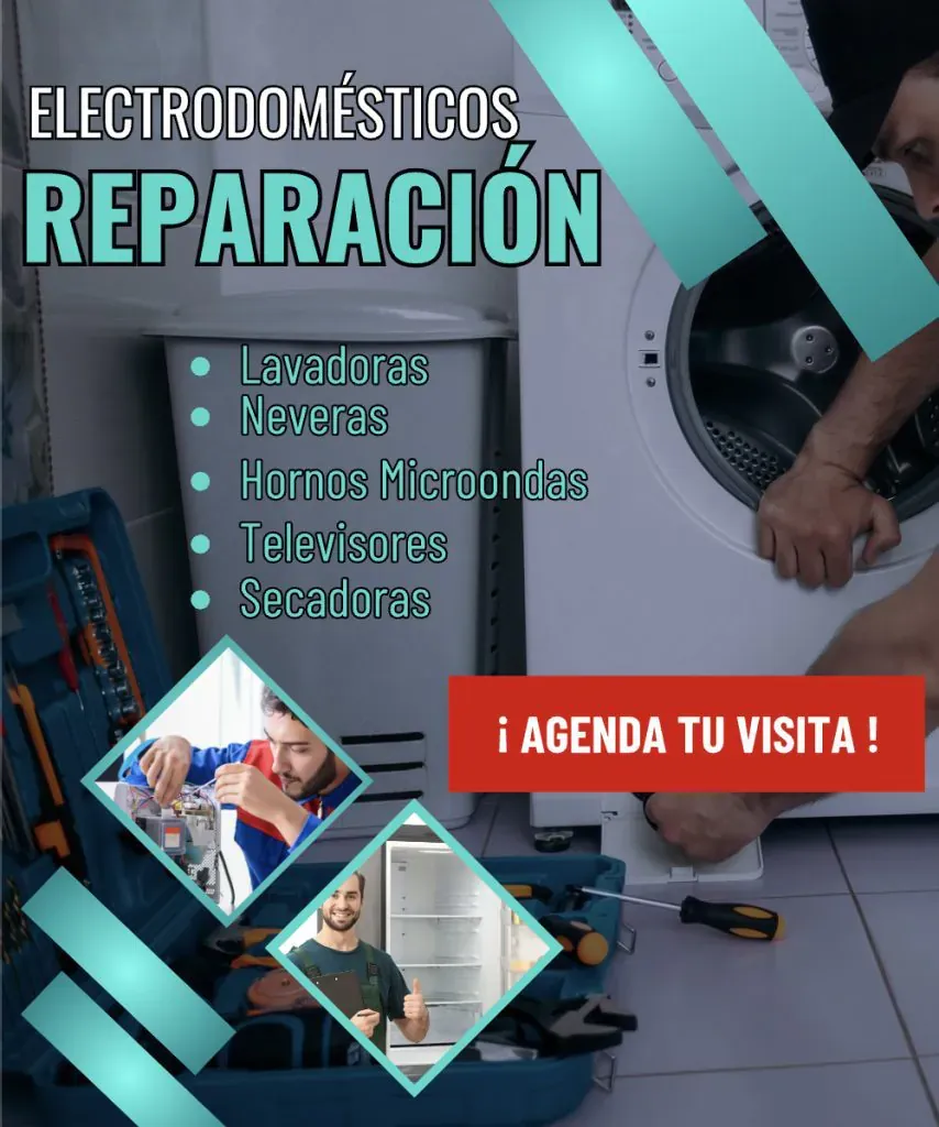 mantenimiento lavadora  a domicilio